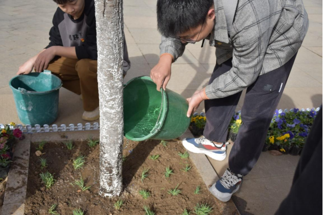 春季植树活动——种“树”育人-西北工业大学管理学院